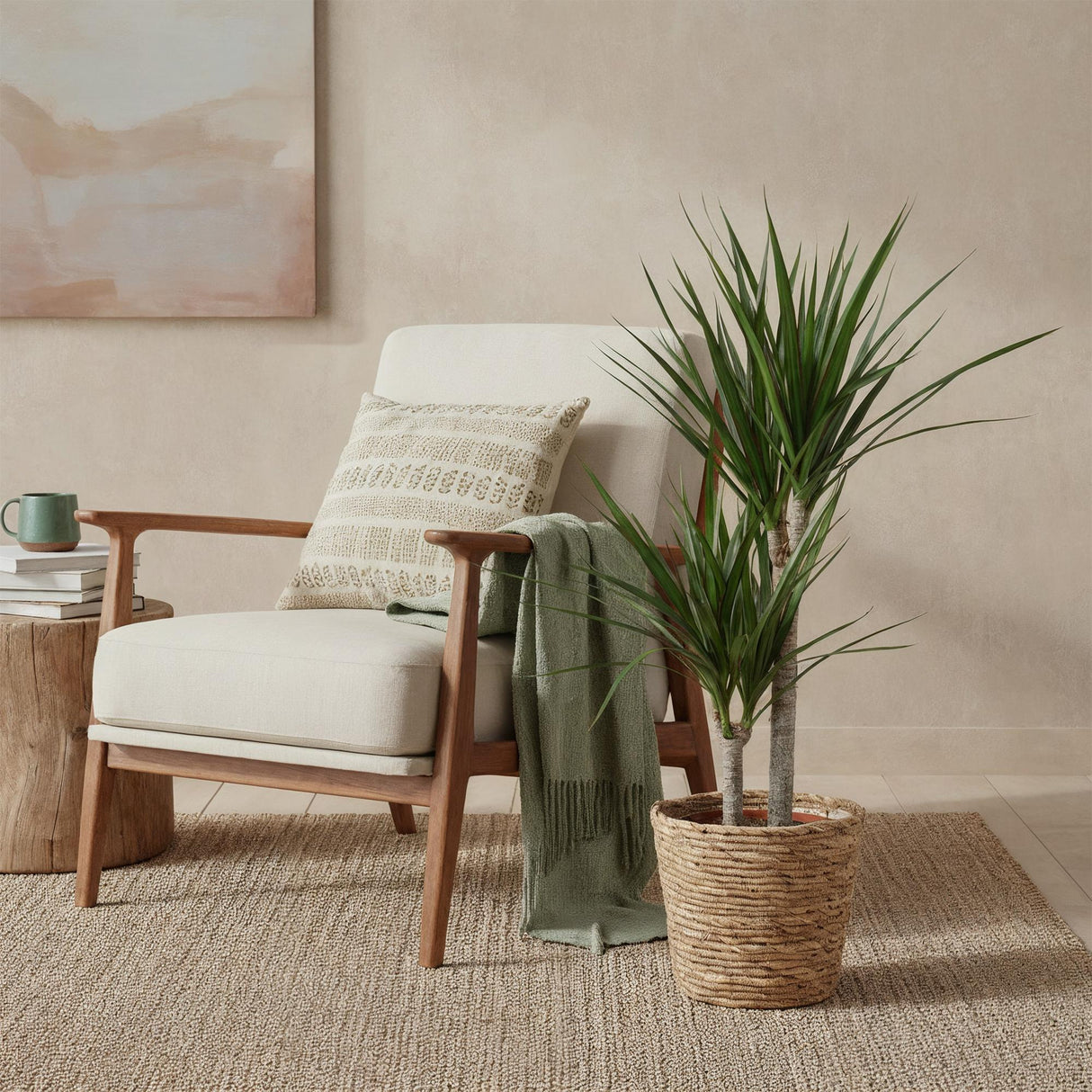 Livraison plante Dracaena Marginata