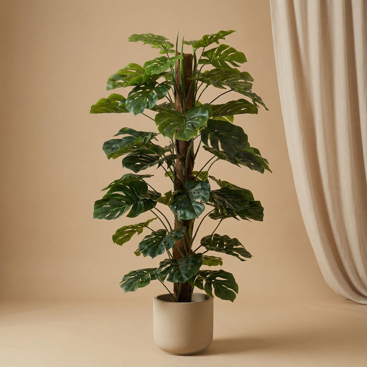 Künstliche Monstera, H 150 cm