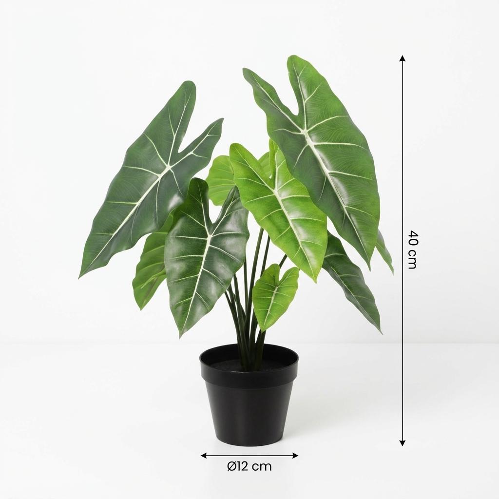Künstliche Alocasia Polly H40cm