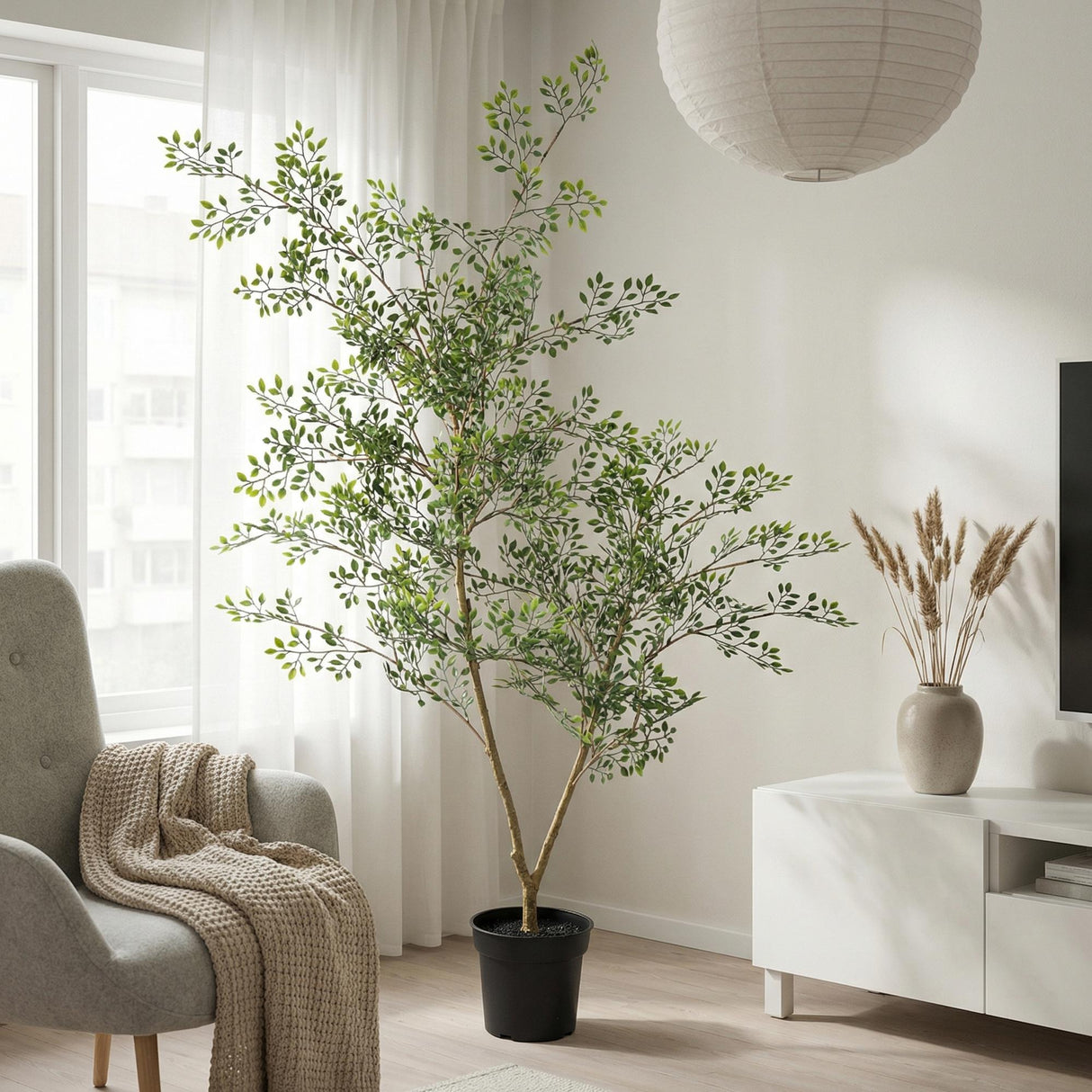 Künstlicher Bucida H71cm