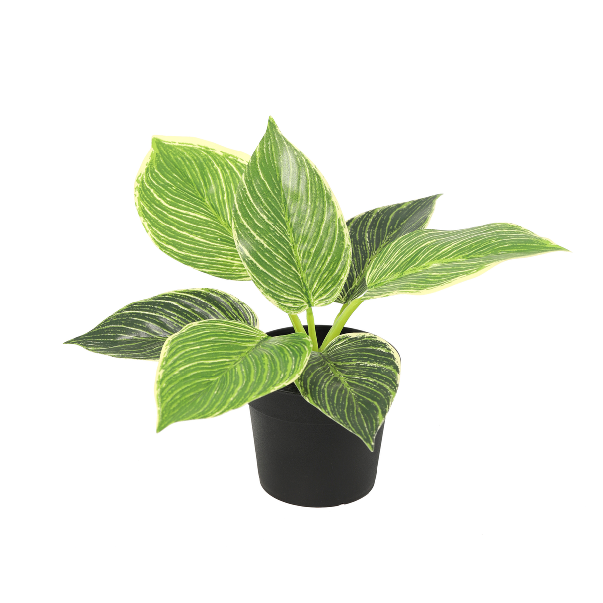 KÜNSTLICHER Philodendron Birkin – 20 cm