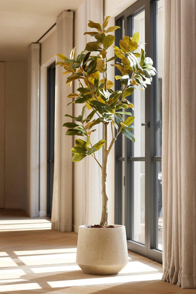 Künstliche Magnolie H 150 cm