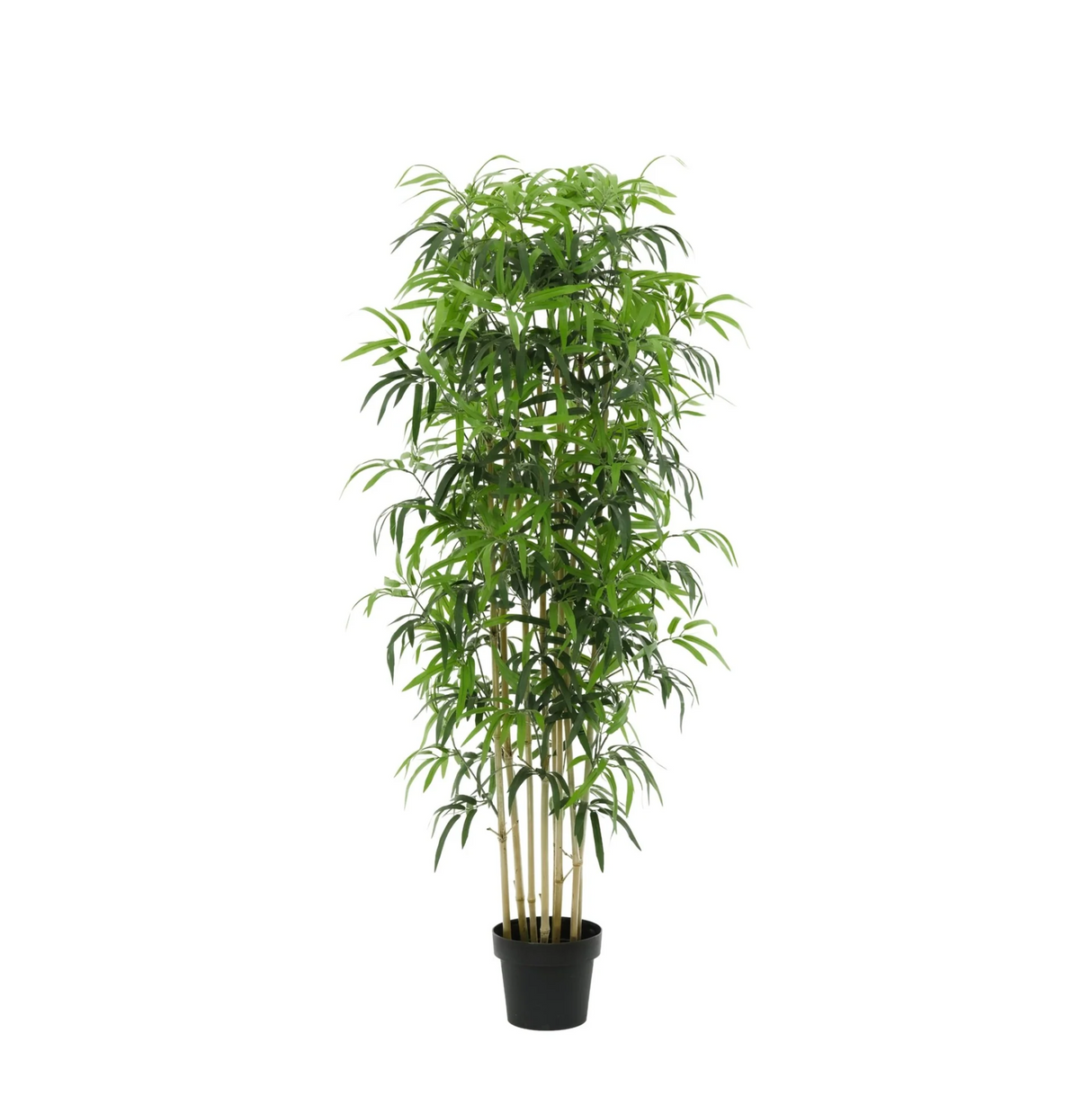 Künstlicher Bambus für Innenräume H150cm