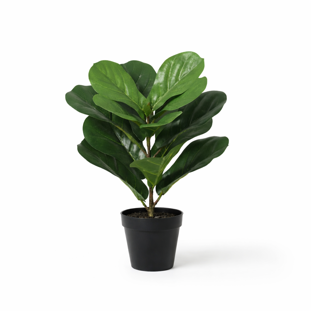 Künstlicher Ficus lyrata h40cm