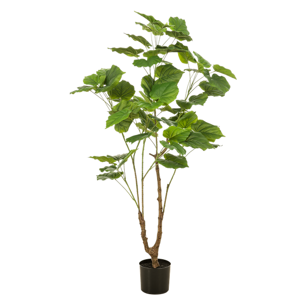 Künstlicher Ficus-Strauch, H 125 cm