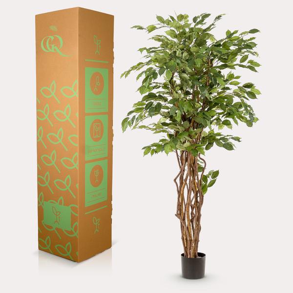 Künstlicher Ficus Liana H170cm