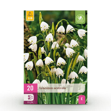 Entretien - Perce-Neige D’Été (Leucojum aestivum) : Guide pratique - La Green Touch
