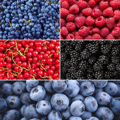 Entretien - Plantes Fruitières (Rubus idaeus, ribes rubrum, vaccinium corymbosum, vitis vinifera, rubus fruticosus) : Guide pratique - La Green Touch