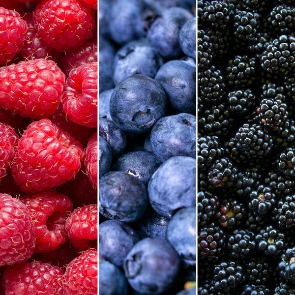 Entretien - Plantes Fruitières (Rubus idaeus, vaccinium corymbosum, rubus fruticosus) : Guide pratique - La Green Touch