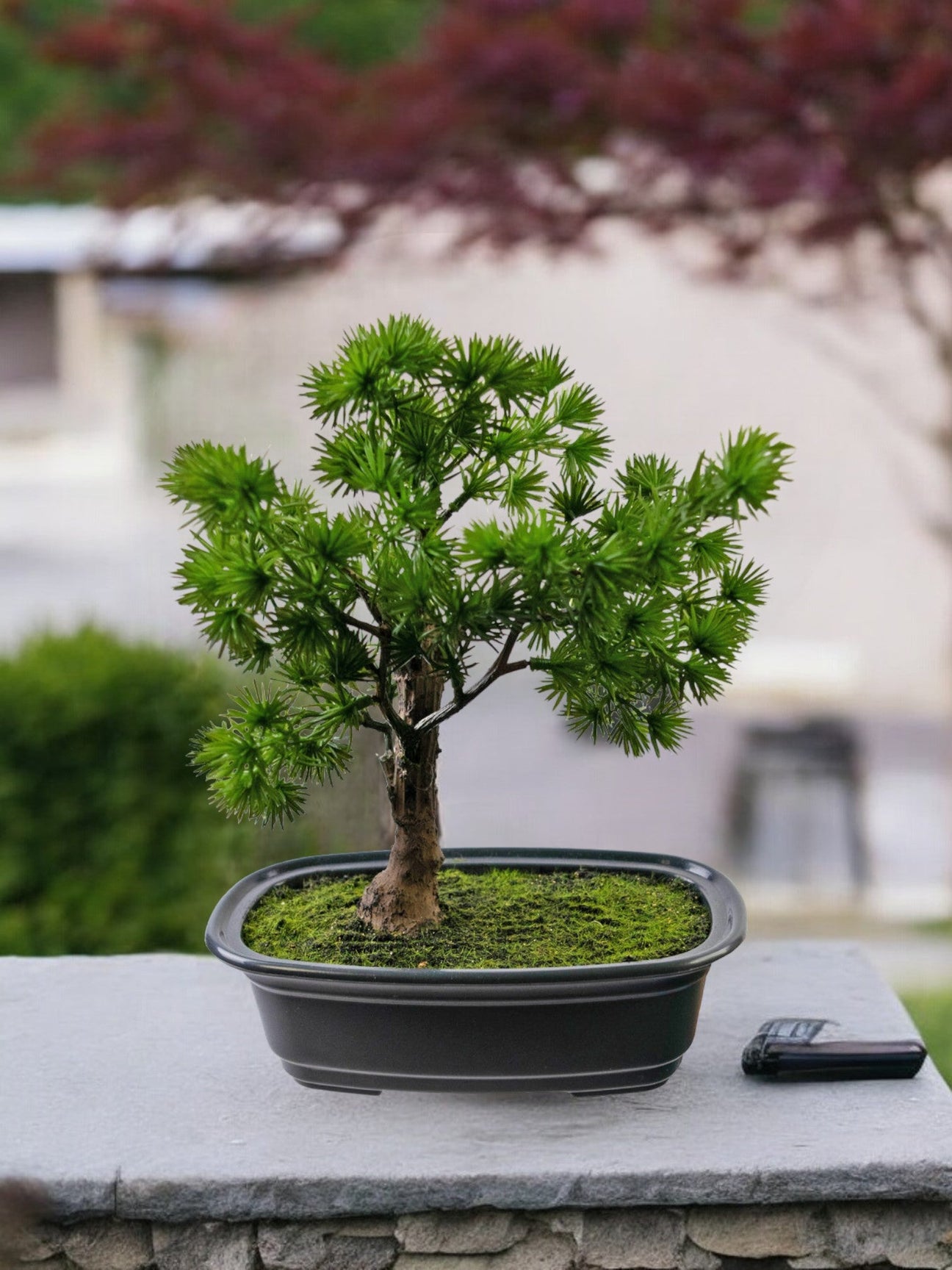 Bonsai artificiel - La Green Touch