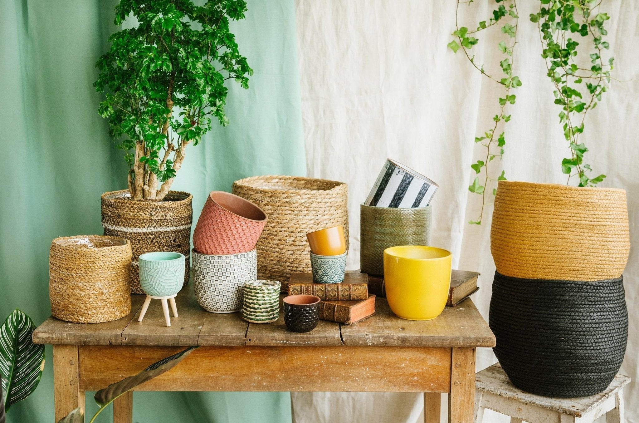 Cache pot Plante - La Green Touch