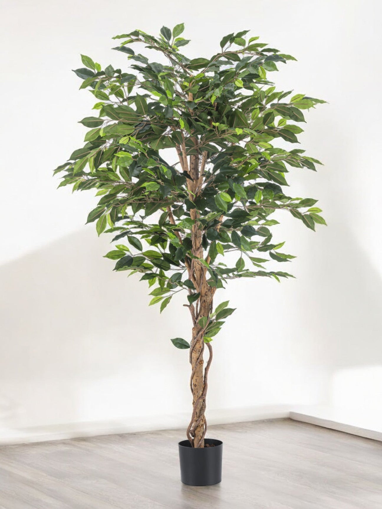 Ficus artificiel - La Green Touch