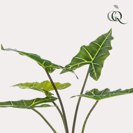 Livraison plante Alocasia artificiel - h80cm, Ø12cm