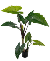 Livraison plante Alocasia - grande plante artificielle