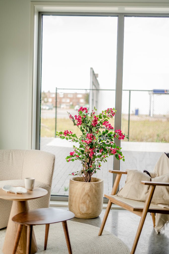 Livraison plante Bougainvillier Liane Fuschia - Arbre artificiel