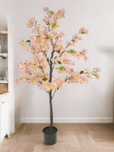 Livraison plante Bougainvillier rose - Arbre artificiel