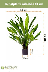 Livraison plante Calathea - grande plante artificielle