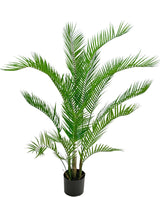 Livraison plante Chamaedorea - Palmier artificiel