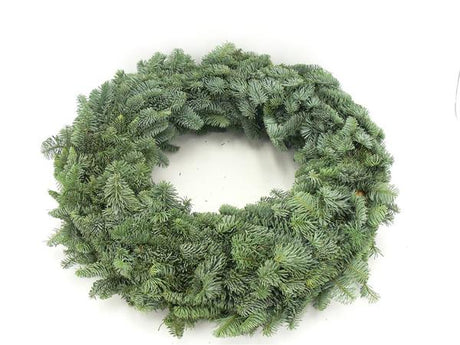 Livraison plante Couronne de Noël Nobilis