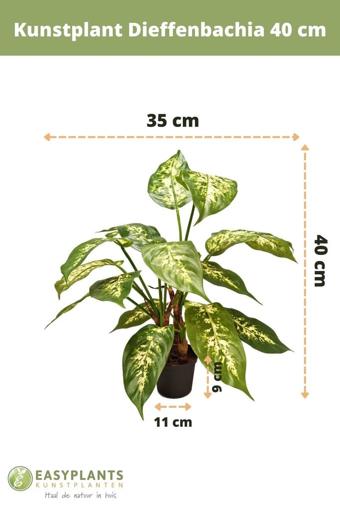 Livraison plante Dieffenbachia - Plante verte artificielle