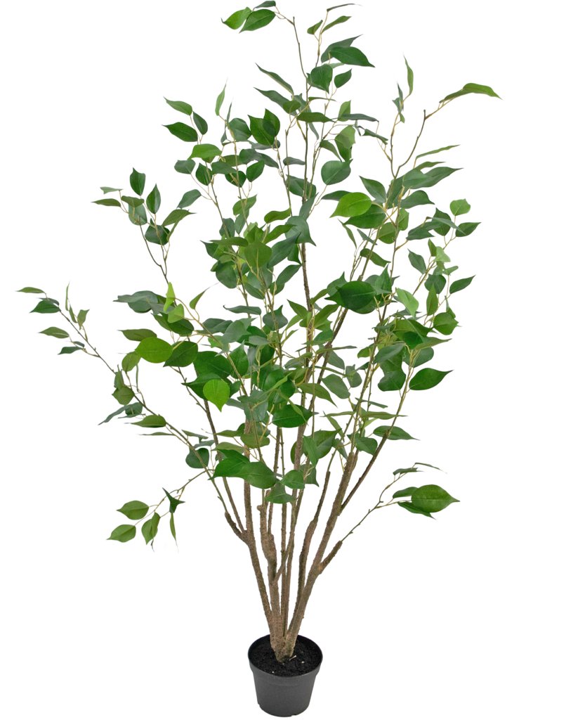 Livraison plante Ficus - Arbre artificiel