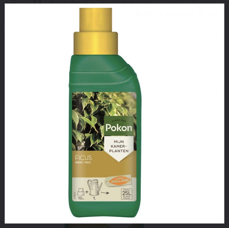 Livraison plante Ficus Plant Food 250ML