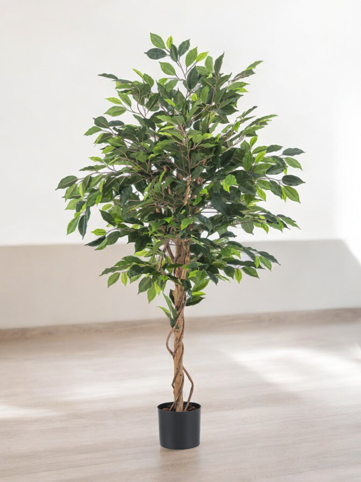 Livraison plante Ficus Vert - Arbre artificiel