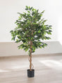 Livraison plante Ficus Vert - Arbre artificiel