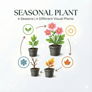 Livraison plante Gazon d'Espagne Armeria