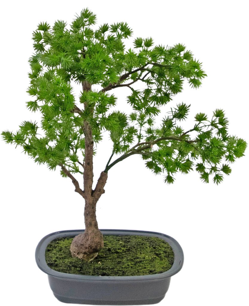 Livraison plante Genévrier - bonsai artificiel