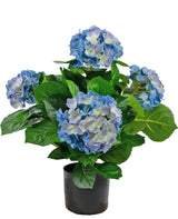 Livraison plante Hortensia artificiel bleu