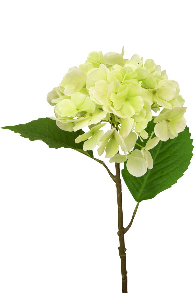 Livraison plante Hortensia Artificiel Deluxe Vert