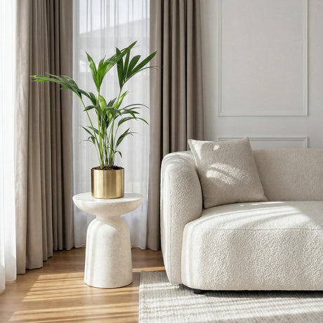 Livraison plante Howea Forsteriana Kentia