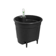 Livraison plante Insert Auto - Irrigant - 28 cm