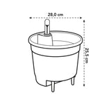 Livraison plante Insert Auto - Irrigant - 28 cm