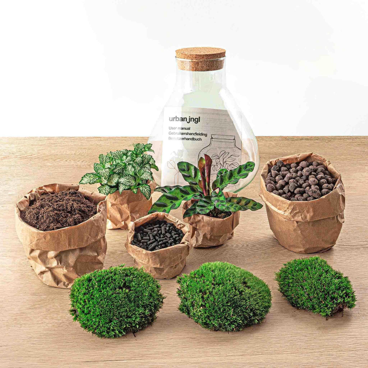 Livraison plante Kit Terrarium DIY - SAMA