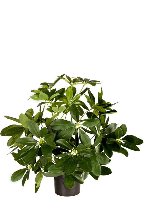 Livraison plante Kunstplant Baby Schefflera 45 cm