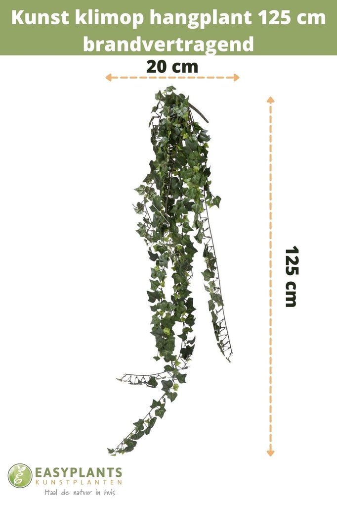 Livraison plante Lierre - Feuillage artificiel à suspendre