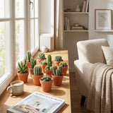 Livraison plante Mix mini Cactus - Pot terracota inclus