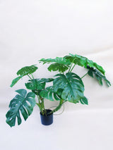 Livraison plante Monstera - Plante verte artificielle