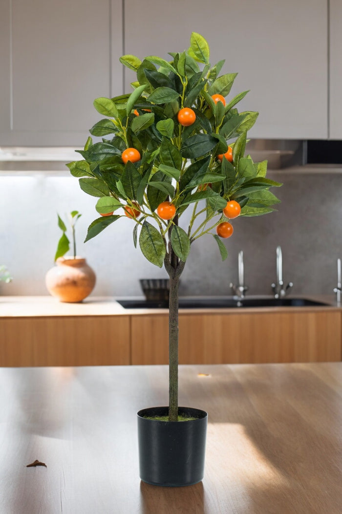 livraison arbuste oranger clementine artificielle