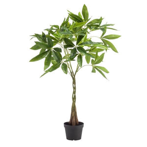 Livraison plante Pachira aquatica artificiel