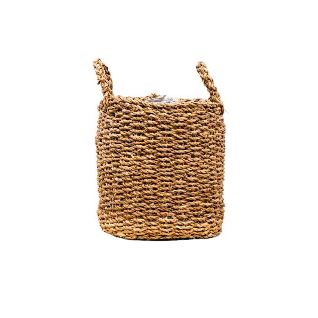 Livraison plante Panier Jack 39 cm