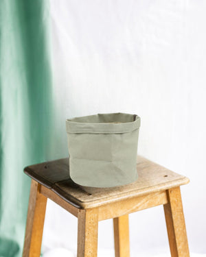 Jade-Pflanzkorb 22 cm
