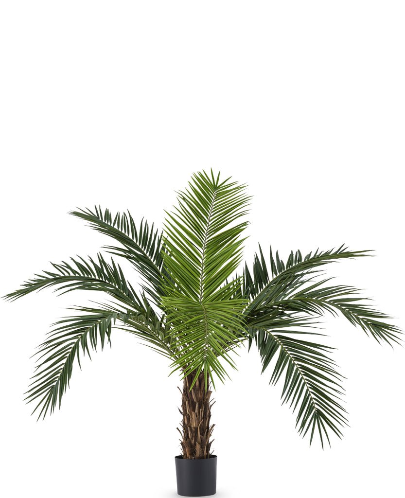 Livraison plante Phoenix Canariensis - Palmier artificiel