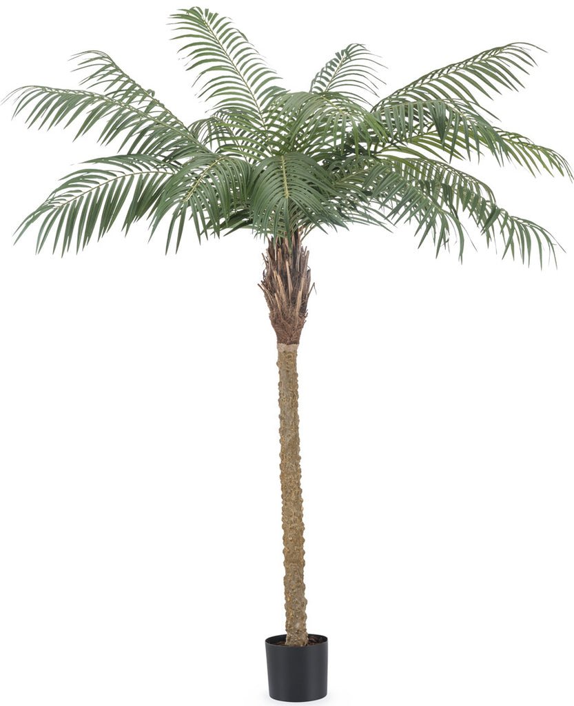 Livraison plante Phoenix - Grand palmier artificiel