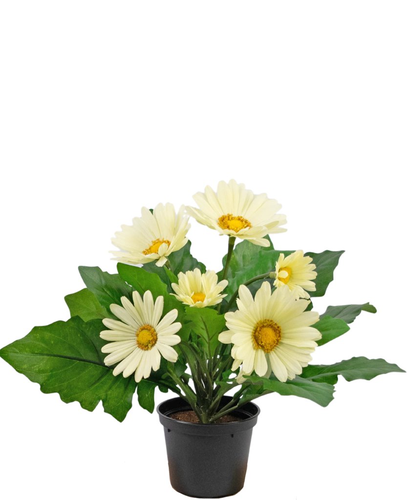 Livraison plante Plante artificielle Gerbera blanc