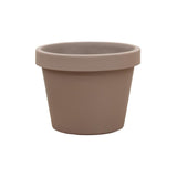 Livraison plante Pot Lira Tortora 85 cm