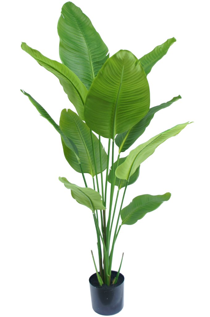 Livraison plante Strelitzia - grande plante artificielle