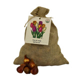 Livraison plante Super Tulip Mix - 100 Bulbes de Tulipes